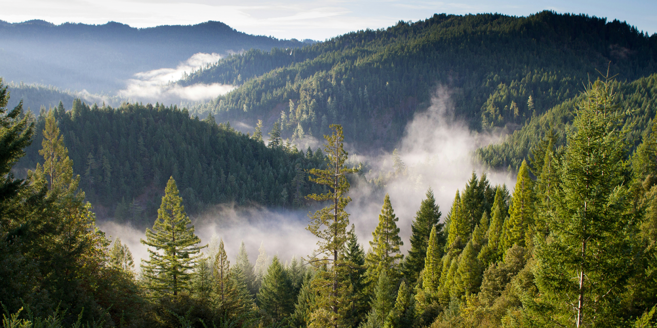 Fortschritt mit Verantwortung: Maßnahmen im täglichen Betrieb